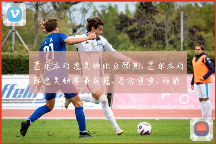 墨尔本对惠灵顿比分预测,墨尔本对阵惠灵顿赛事前瞻,悬念重重,谁能问鼎胜利