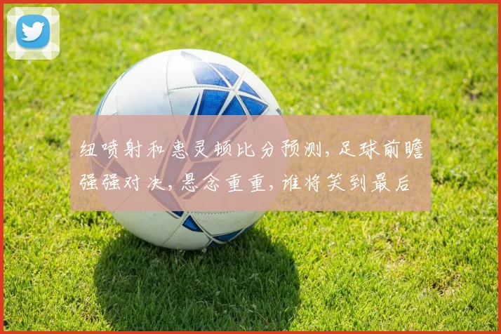 纽喷射和惠灵顿比分预测,足球前瞻强强对决,悬念重重,谁将笑到最后